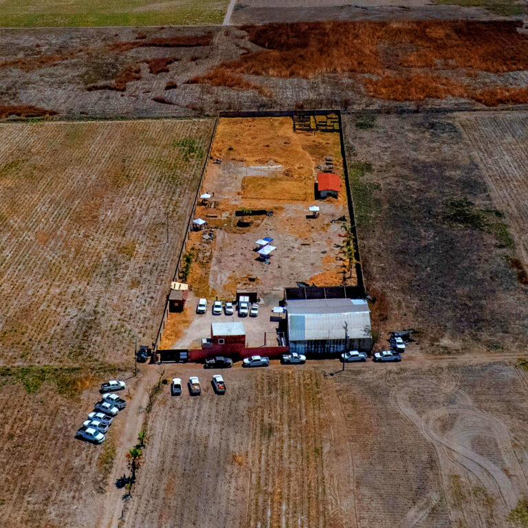 Claudia Sheinbaum’s War on Crime in Mexico Faces a Grim Reckoning: 133,000 Missing People