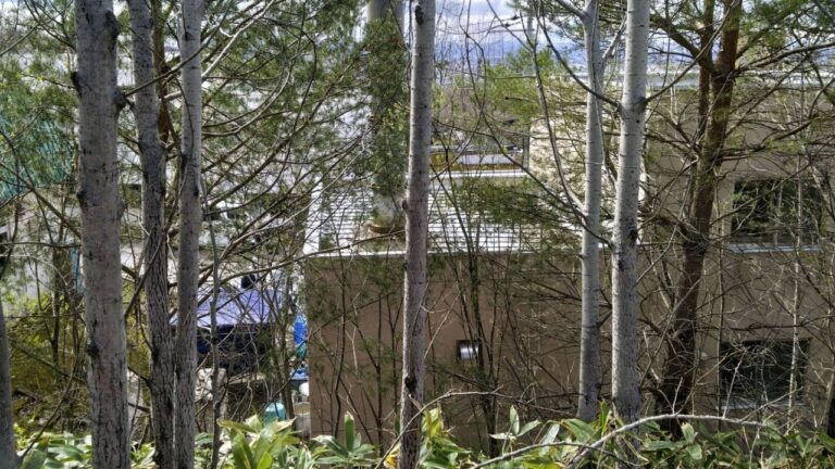 Zoo in Japan’s Hokkaido delays reopening over search for body in incinerator