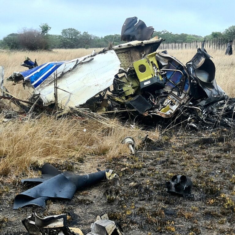 A Flashy Zimbabwean Tycoon Who Befriended Presidents Dies in Crash