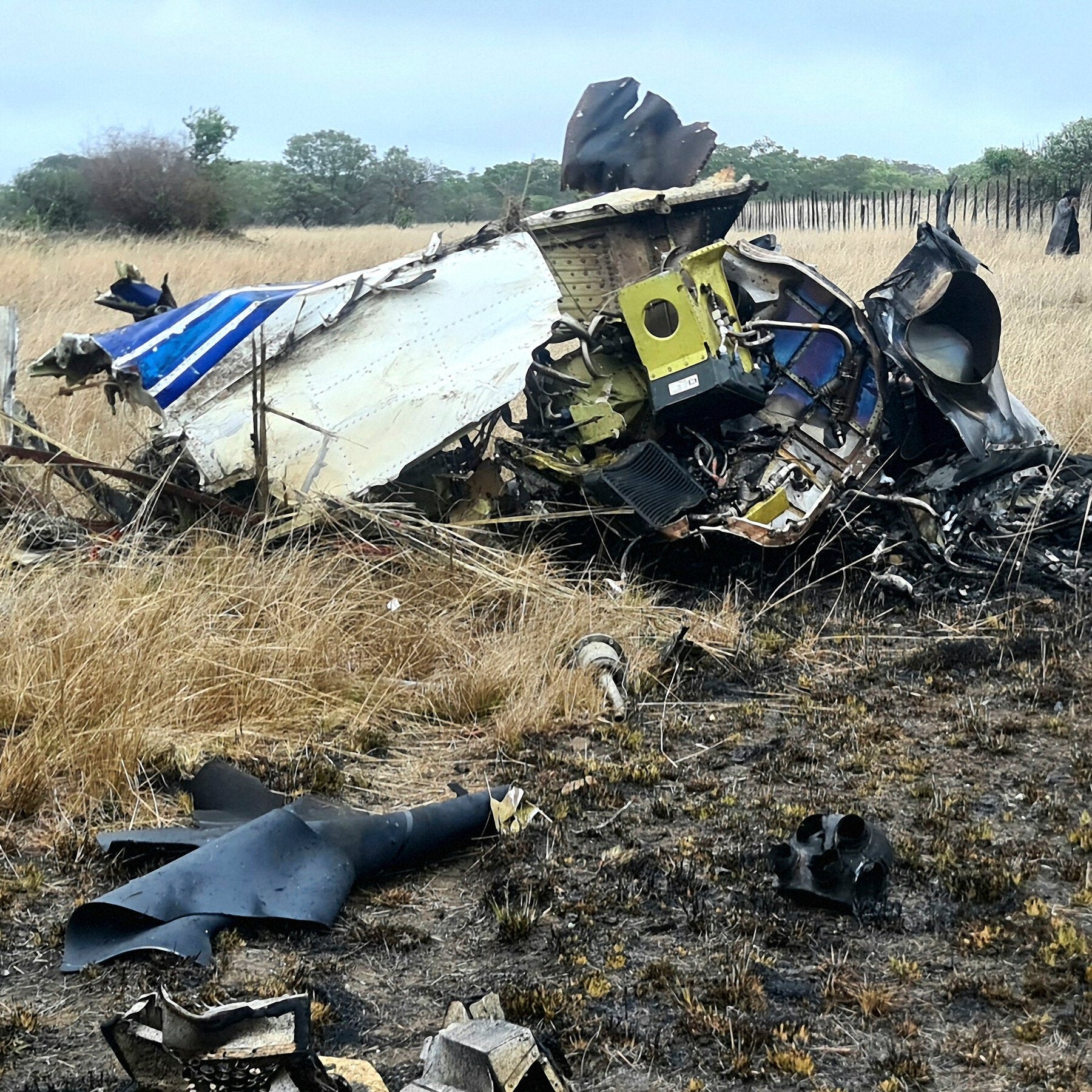 A Flashy Zimbabwean Tycoon Who Befriended Presidents Dies in Crash
