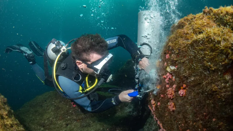 Got pesky, invasive corals? Blast ‘em away with air guns