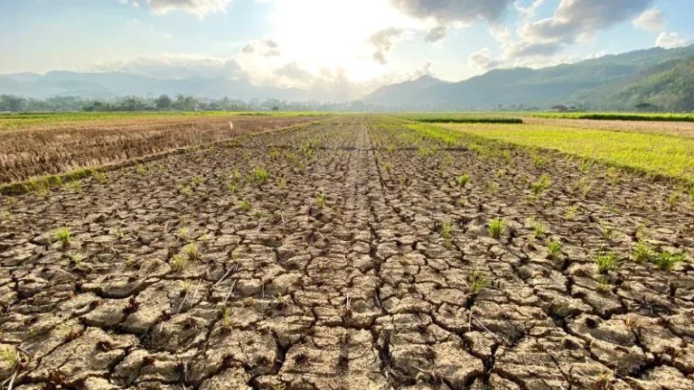 How climate change may increase antibiotic resistance