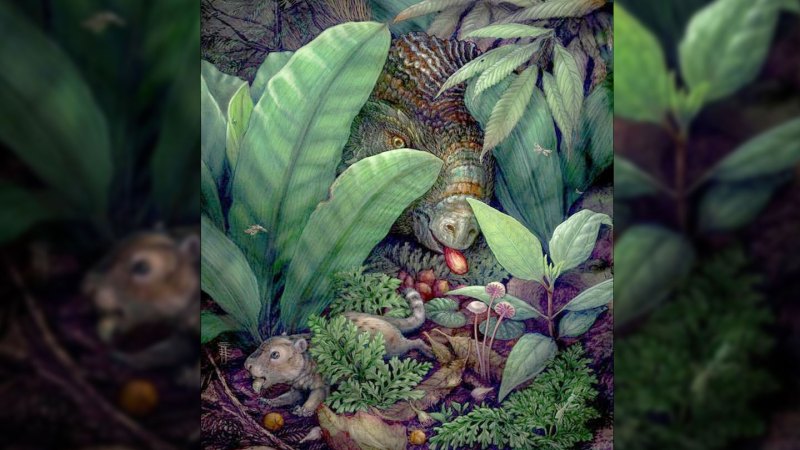 Ancient flowering plants may have used dinosaurs to spread their seeds