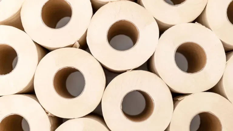 Bamboo toilet paper intrigued me. Reality turned out to be messy