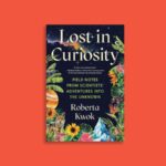 Lost in Curiosity reveals the messy reality of doing science