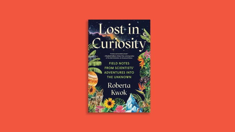 Lost in Curiosity reveals the messy reality of doing science