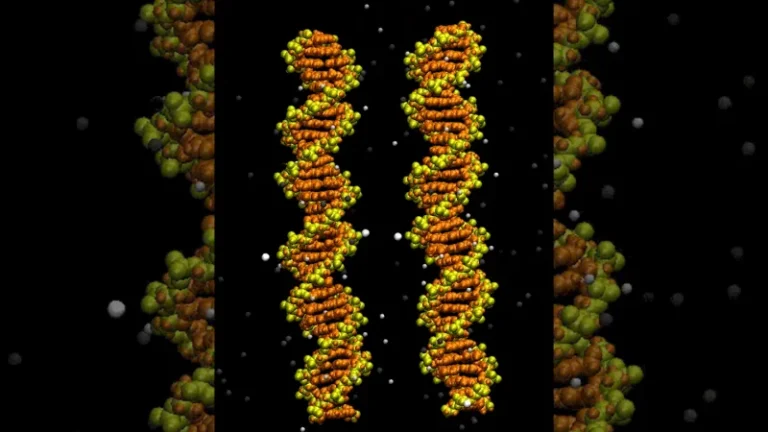 See the secret to DNA hookups