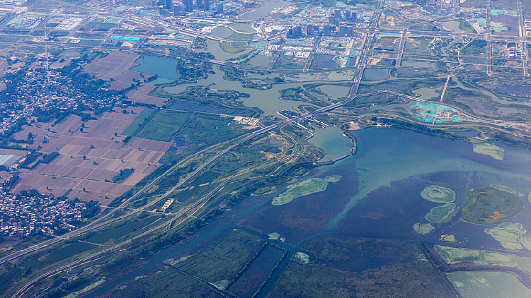 Chinese scientists create 10-m resolution lakeshore wetland dataset