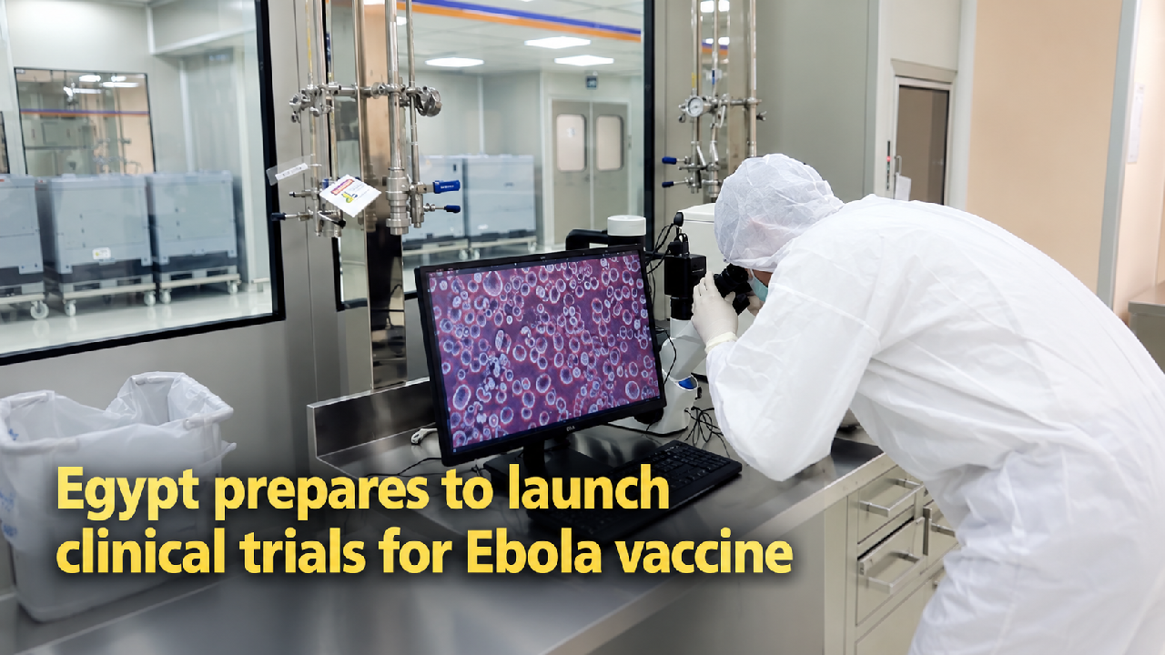 Egypt prepares to launch clinical trials for Ebola vaccine