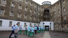 Prisoners freed early are returning to jail at rapid rate, governors tell BBC
