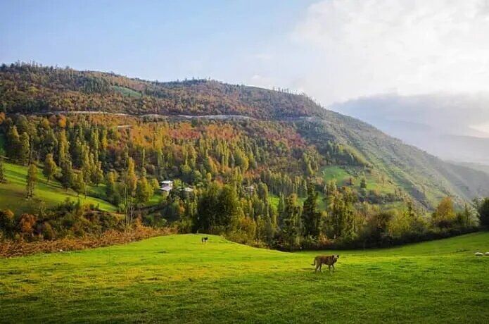 تابستان در بهار شمال کشور؛ دمای هوای ۳۵ درجه سانتی‌گراد در مازندران ثبت شد