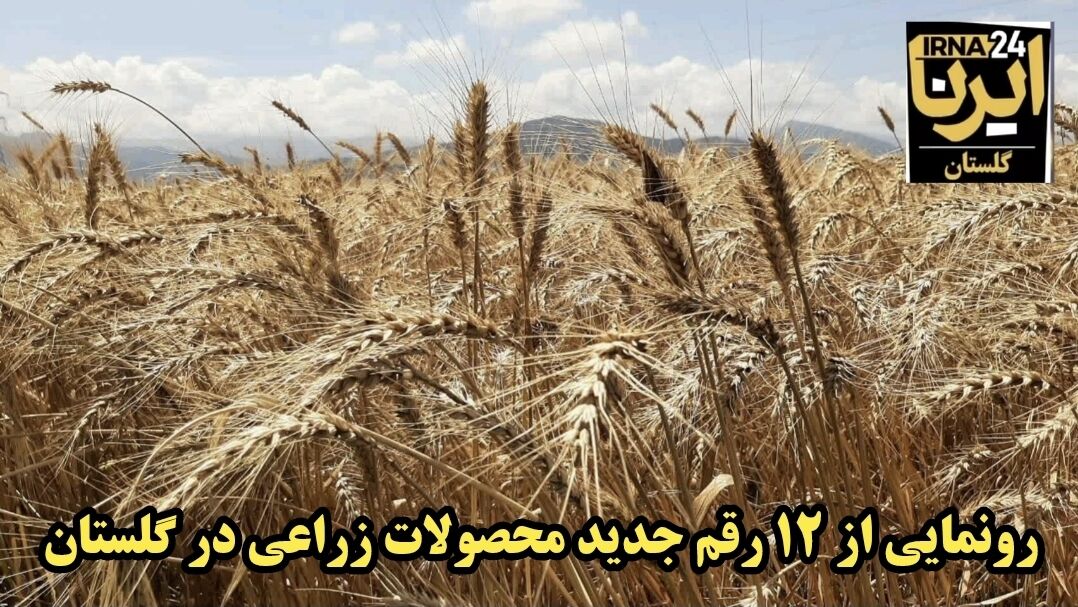 فیلم|رونمایی از ۱۲ رقم جدید محصولات کشاورزی در گلستان