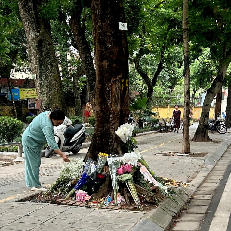 After Youth Outcry, Vietnam Says Former Official Caused Fatal Crash at Tree 55