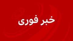 در پی صدای تیراندازی در ضیافت خبرنگاران کاخ سفید، ماموران امنیتی ترامپ و همسرش را از محل خارج کردند