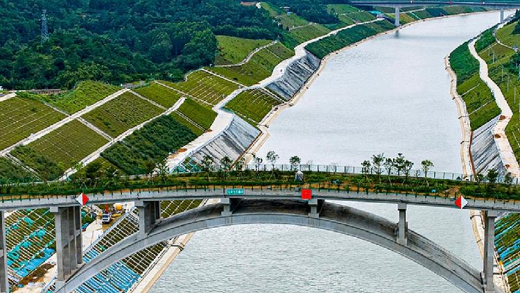 Pinglu Canal opens with wildlife bridge for safer animal crossings
