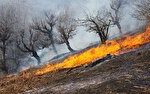 مهار آتش سوزی در اراضی کشاورزی کرج