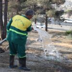 بسیج کامل تانکرهای آبرسان جهت آبیاری اضطراری ۳۰۰ هکتار از عرصه های جنگلی منطقه ۴