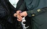 انتقام زن همسایه با طراحی سرقت ۴۵ میلیارد ریالی از منزل دوستش
