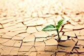 هنوز در تهران، کرج، مشهد، اراک و ساوه نیاز به مدیریت مصرف داریم