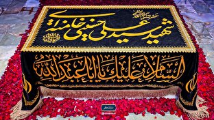 نوجوانان دلتنگ رهبر شهید انقلاب در رواق دارالذکر + فیلم