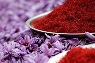 دریافت کد شناسه اتحادیه و تأییدیه سلامت؛ لازمه فروش آنلاین