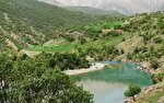 نبض سبز زاگرس در بازفت می‌تپد + فیلم