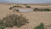 واگذاری ۱۱ هزار هکتار از کانون‌های ریزگرد خوزستان به قرارگاه کربلا