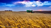 ثبت سفارش گندم تا پایان سال ادامه دارد