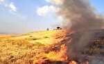 کاهش چشمگیر آتش زدن کاه و کلش در مزارع مازندران