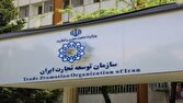 واردات محدود لوازم خانگی در تجارت مرزی/ واردات لوازم خانگی بزرگ در تجارت رسمی ممنوع است