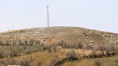 بازنگری در اجرای طرح پنجره واحد زمین / شمال کشور کمبود زمین ندارد