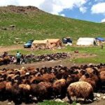 هشدار جدی به عشایر: در مسیر روان‌آب‌ها اسکان نکنید