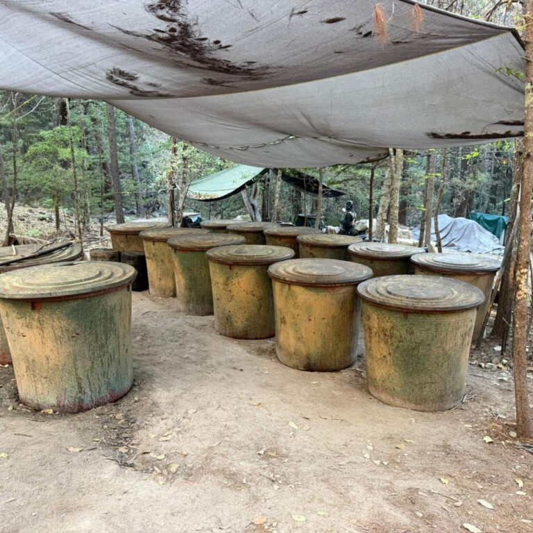 Crash That Killed 2 Americans Is a Reminder of the Depth of Security Ties in Mexico