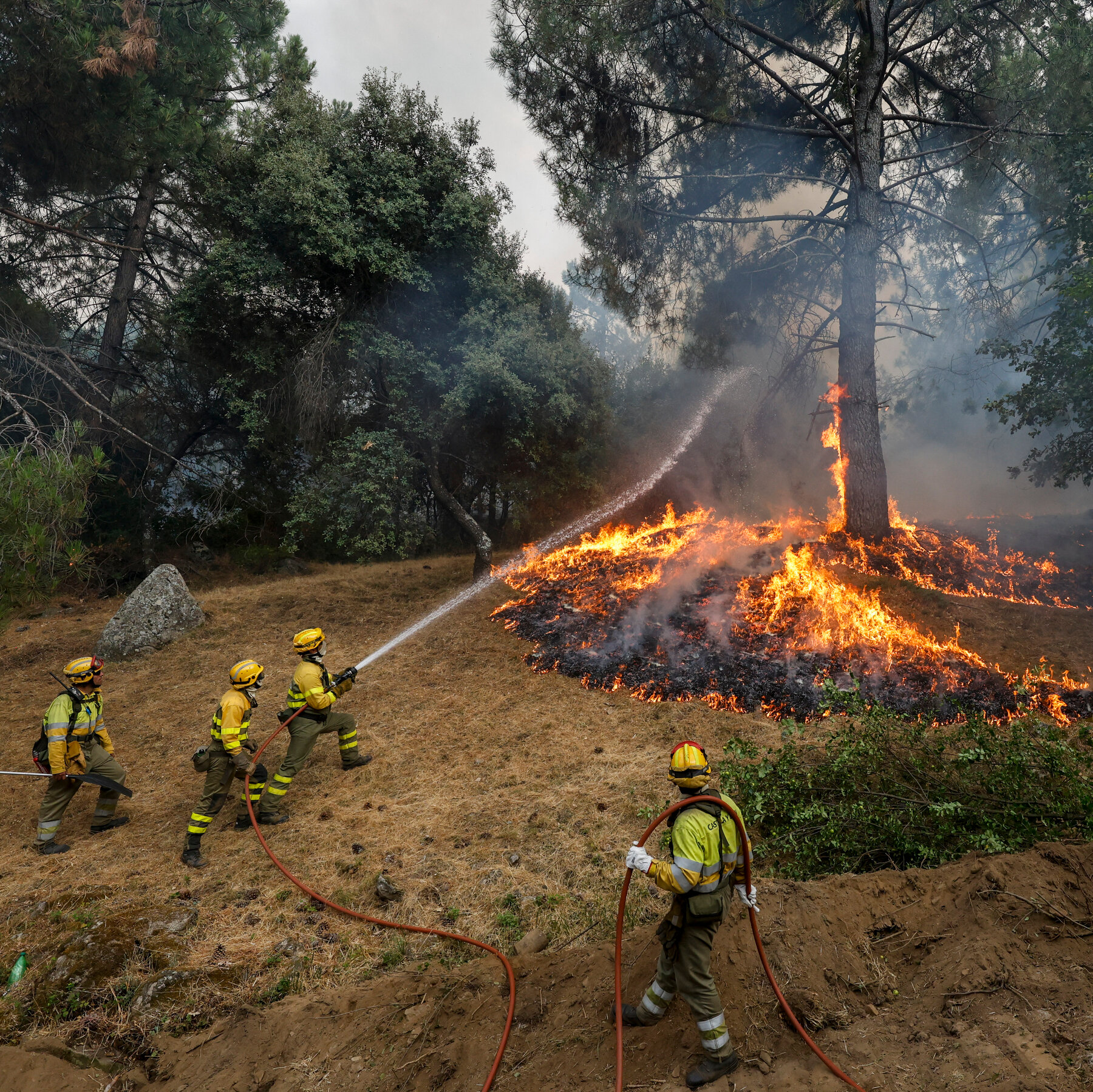 Live Updates: Hundreds of Thousands Flee as Fires Rage in Spain and France
