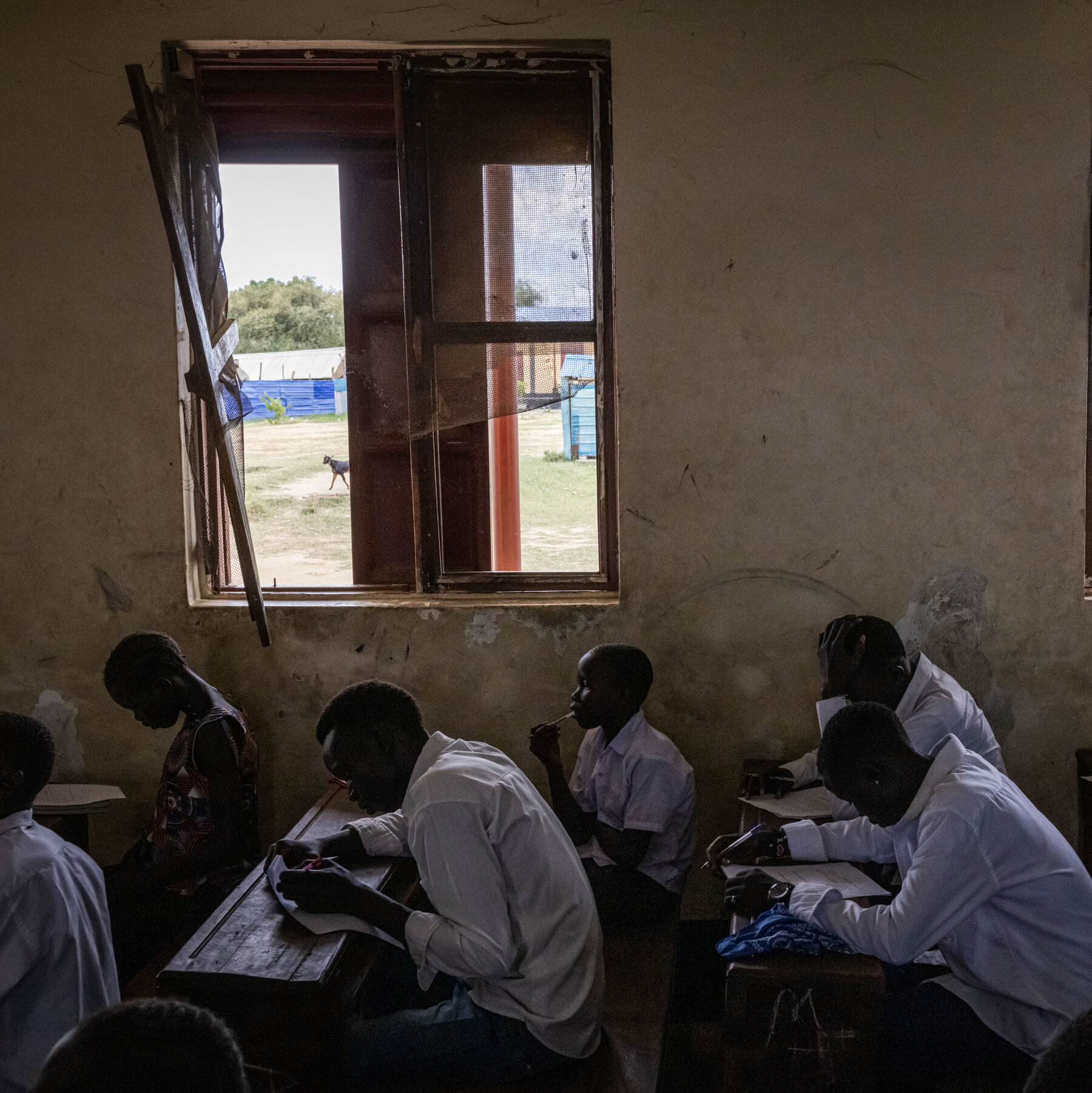Can a Youth Boom Survive South Sudan’s Education Crisis?