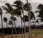 Hurricane Lala lashes Hawaii with strong winds and torrential rain