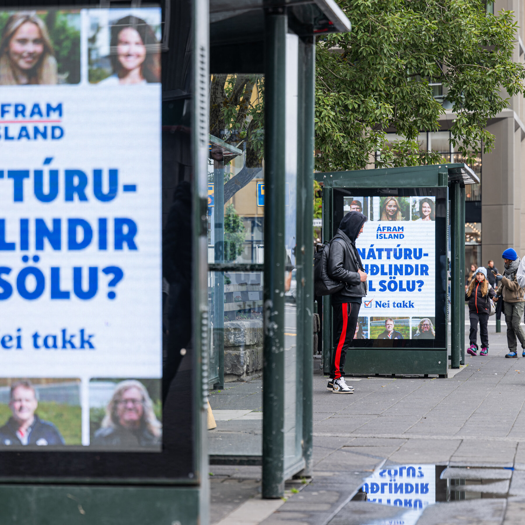 ‘The Sauna Is Hot and Uncomfortable’: Vote on E.U. Talks Makes Iceland Sweat