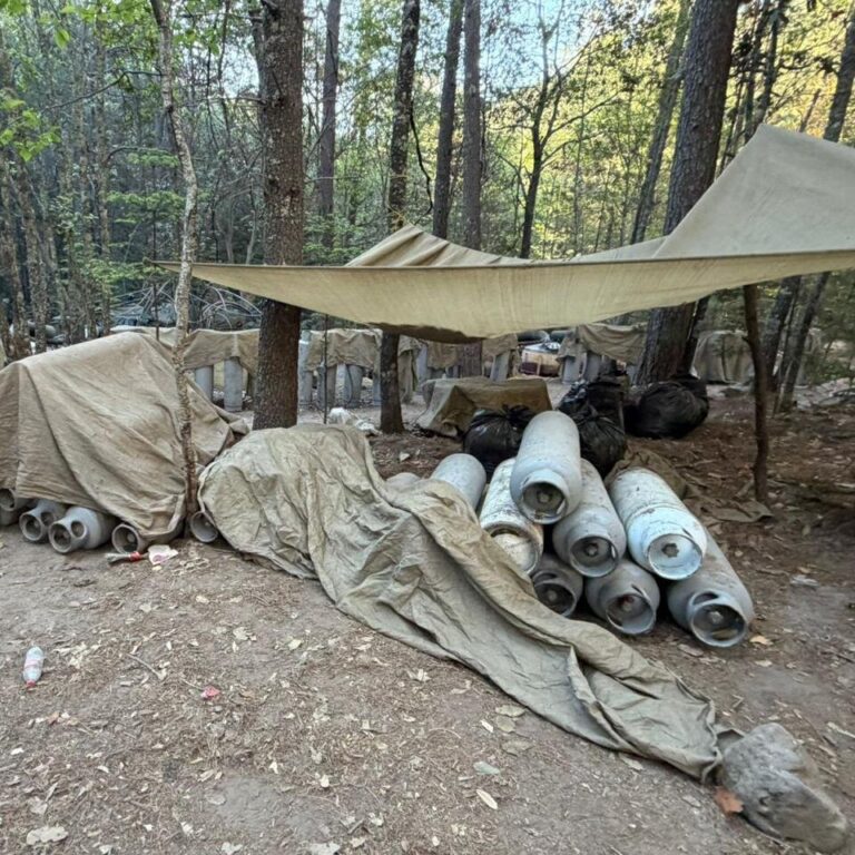 Mexico Says 4 Foreigners Were at Cartel Raid Where 2 C.I.A. Officers Died