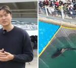 Huge crowds watch attempt to save shark stranded in South Korean canal