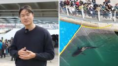 Huge crowds watch attempt to save shark stranded in South Korean canal