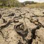 Shrinking water bodies can turn drought into disease hotspots or dead ends