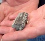 Tourist finds rare chunk of oldest sea crocodile