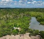 Brazil's Amazon sees sharp decline in size of area burned in 2025