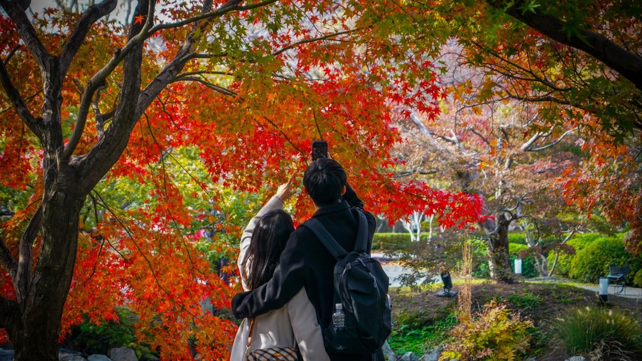 Japanese prefecture pays singles to use dating apps to battle low birth rates