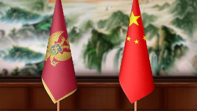 Xi, Milatovic exchange congratulations over 20th anniversary of ties