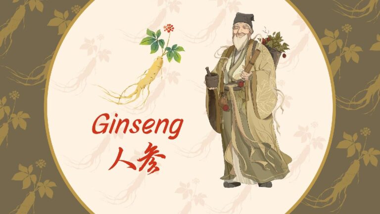 Meet Ginseng: The energy booster
