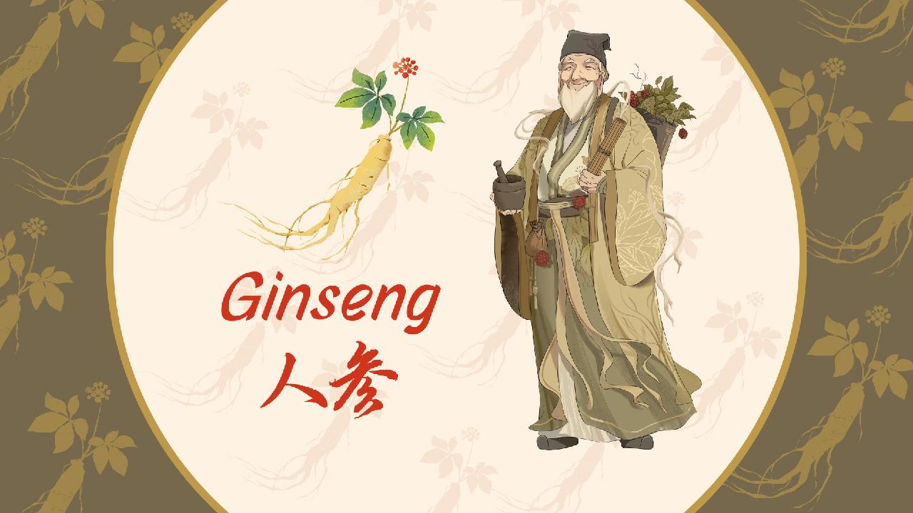 Meet Ginseng: The energy booster