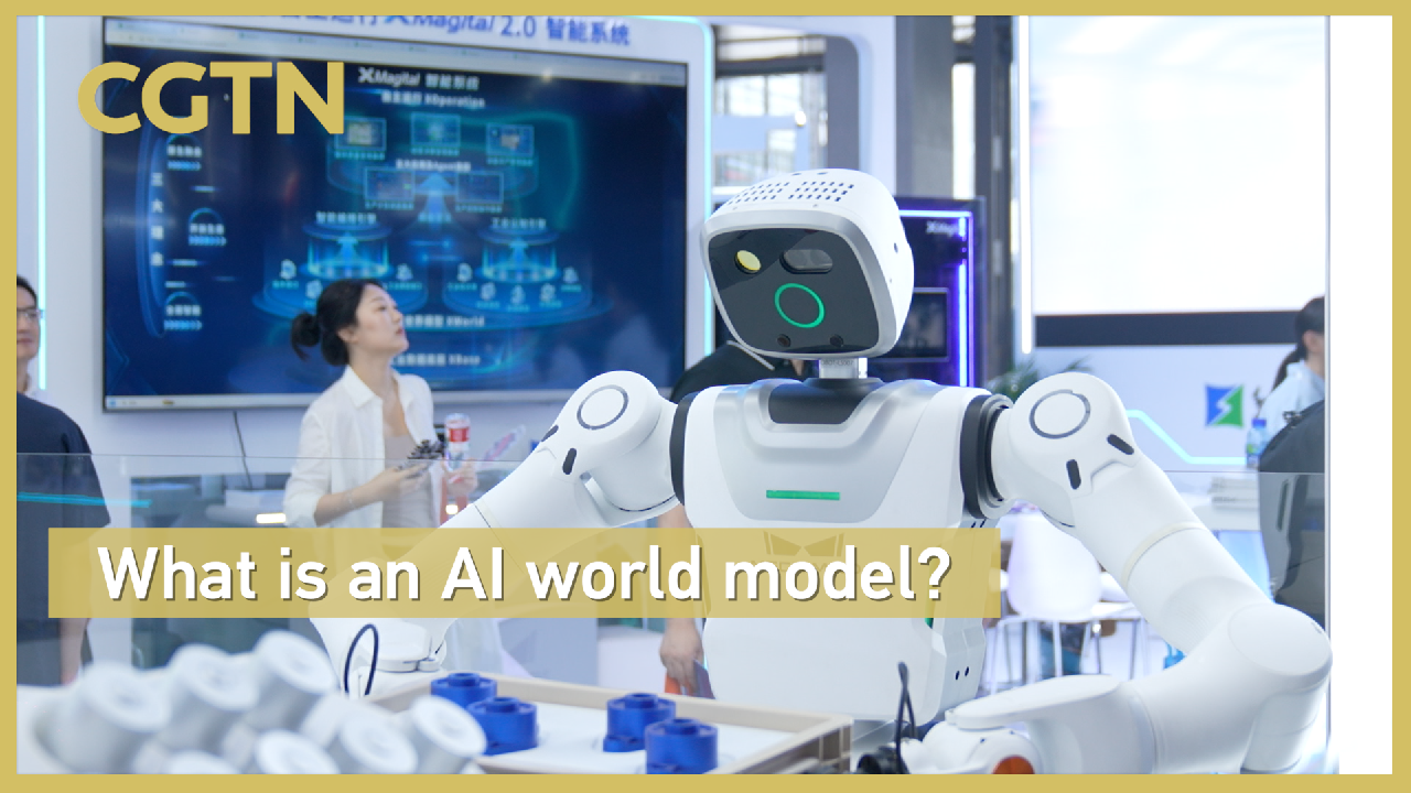What is an AI world model?