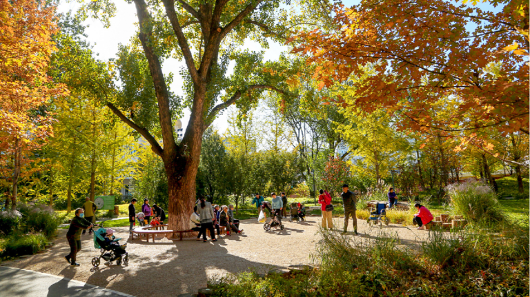 Beijing to build 100 gardens, villages for ancient trees by 2030