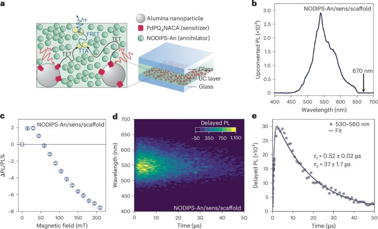 Increasing Photon Upconversion Efficiency with Structural Exciton Localization